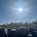 새하림각 | 제주공항 가는 길이 아쉽다면 조천읍 카페 ‘야원‘