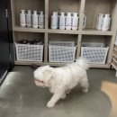 그루밍솔루션 구로점 이미지