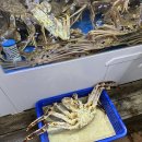 속초대게천국 | 속초 동명항 영금정 킹크랩 대게 홍게 맛집 속초대게천국