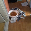 대건아파트 | 아산 실옥동 아파트 천장 누수 수리 후기 - 윗집 책임과 보상 절차