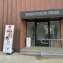 왓숑미용 이미지