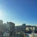[서울/2박3일] 문화생활 벼락치기 ② 영화 &lt;벌집의 정령&gt;, 뮤지컬 &lt;이프덴&gt;