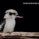 의료법인 윤재의료재단 금정요양병원 이미지