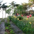 금빛솔여울에든가오름 이미지