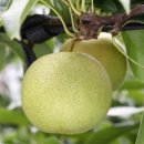 한아름슈퍼 이미지