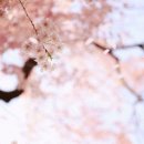 송파여성문화회관 이미지