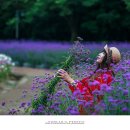 상림화원 이미지