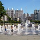 평촌중앙공원 이미지