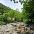 어비 포레스트 이미지