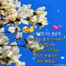 더봄날에 이미지