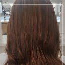 본레이크 이미지