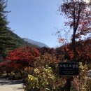 꿈동산펜션 | [숙소만회사돈회사놀]3대가 떠난 가평여행🎶🎵