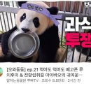바오치과의원 이미지