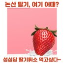 태전공원 벽천폭포 앞 | 2026 논산 딸기 축제 개막! 성심당 웨이팅 &amp; 셔틀버스 타는 곳 진짜 꿀팁 🍓