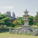 창원 봉림사지 삼층석탑 이미지