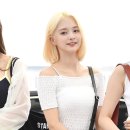 나인룩 이미지