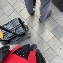 거마가든 | 시즈오카 여행기•••~_~