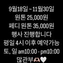 넬스아이 이미지