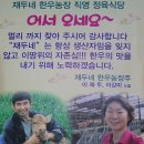 재두네 한우농장2 Daum카페