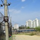 임월교 앞 이미지