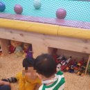 팡팡존 이미지