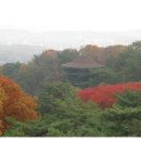 스카이아카데미 이미지