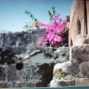 고색여관 이미지