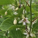 산골농부네 이미지