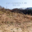 골드 태양광발전소 이미지