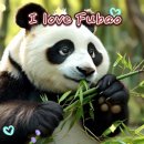 I love Fubao AI(capcut) 이미지