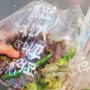 신의혼밥 이미지