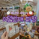 파장 | [광주 동명동 소품샵] &#34;여덟번째 파장&#34; 광주 대형 문구 소품샵 내돈내산 후기