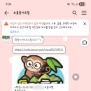 멍멍하니? | [보홀] 내돈내산 필리핀 보홀 헬멧 다이빙 후기 / 씨워킹