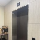 그린카 | 부천 그린카메수영장 후기 (내돈내산/성인수영학원/수영초보)