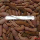 영순수산 이미지