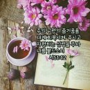 샬롬 - 순천시 | 샬롬