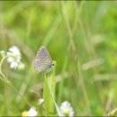 주홍목장 이미지