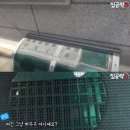 “비 오면 천장서 물 새겠다”… 서울대 月 42만원 반지하방 ‘시끌’ 이미지