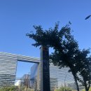 [임장일기] 마곡동 마곡엠벨리 임장 후기