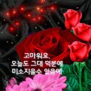 꽃보다사랑 이미지