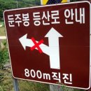 남교체육관 | 20140605 옥천 &#34;둔주봉&#34;(384m) 쉬운산...