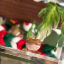 원벨리캣 | 계획은 없고 사건만 있는 일상 블로그~🚨 (도자캣 내한 콘서트 후기)