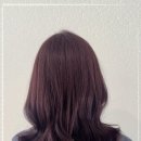 하이헤어 - 강릉시 산양길 22 | 하이헤어