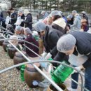 웰빙 1000 이미지