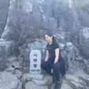 매산큰길 | 등산일지 30 : (산악회 매월매산) 봄 맞이 진해 장복산 시루봉 웅산 등산 후기 코스 공유