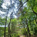 마산 봉암수원지 | 🌿 창원 마산 봉암수원지 아이랑 가볼만한곳｜도심 속 숨은 자연체험 힐링 명소