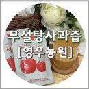 국산 무설탕 사과즙 추천, 영우농원 100% 사과 착즙주스