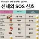 blood..sweat…tear이세요 | 4233마음센터 후기 | 연남필름