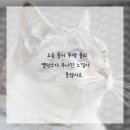 라이프 필라테스 네이버블로그