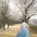 상면체육공원 앞(G350) | 그동안 미뤄왔던 촬영본 이모저모